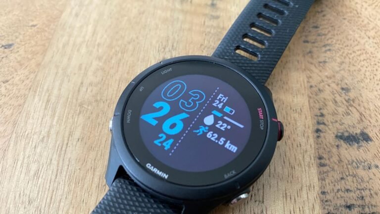 Garmin Forerunner 255