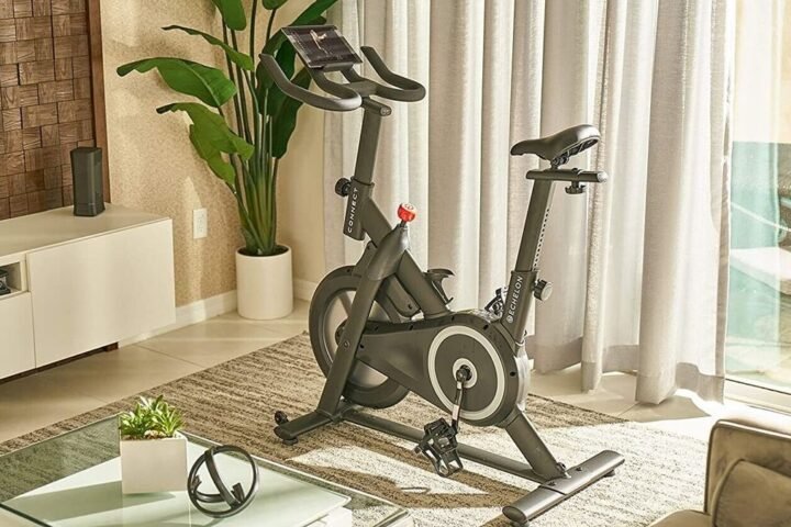 Echelon Smart Connect EX-15 exercise bike in living room